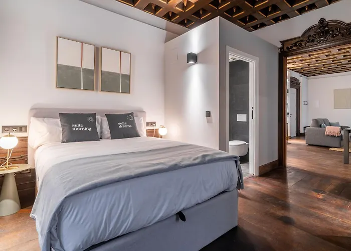 Lägenhet Limehome Palacio De Alava-velasco