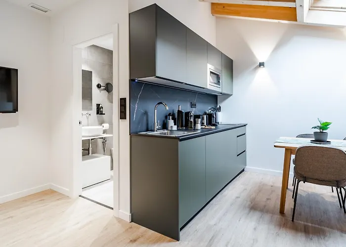 Apartament Limehome Palacio De Alava-velasco *